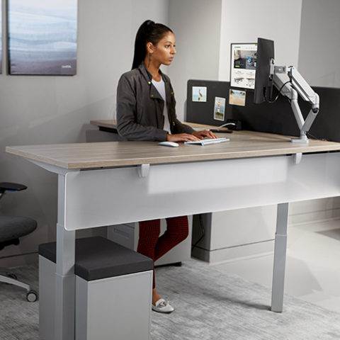 Sit To Stand