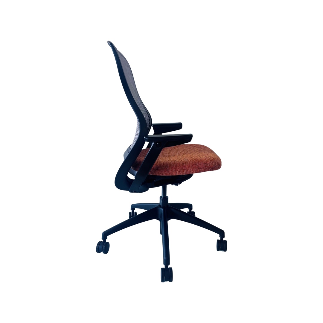 Knoll ReGeneration - Image 2