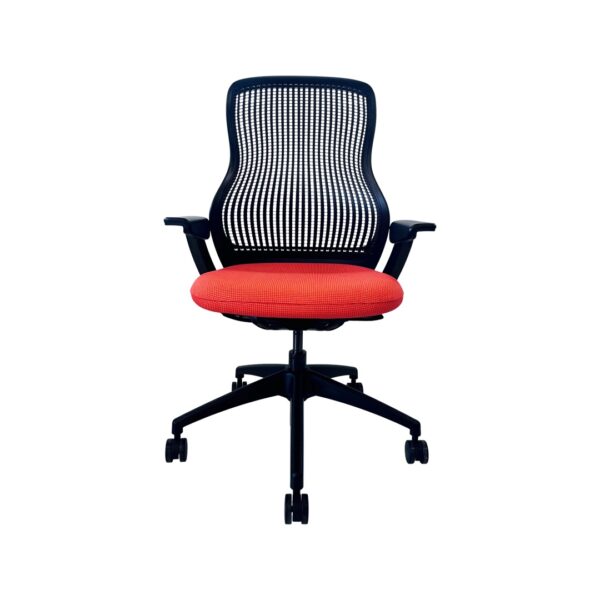 Knoll ReGeneration - Image 5