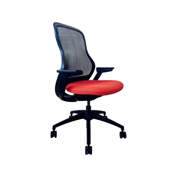 Knoll ReGeneration - Image 6