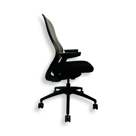 Knoll ReGeneration - Image 11