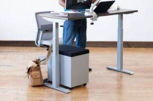 Sit To Stand